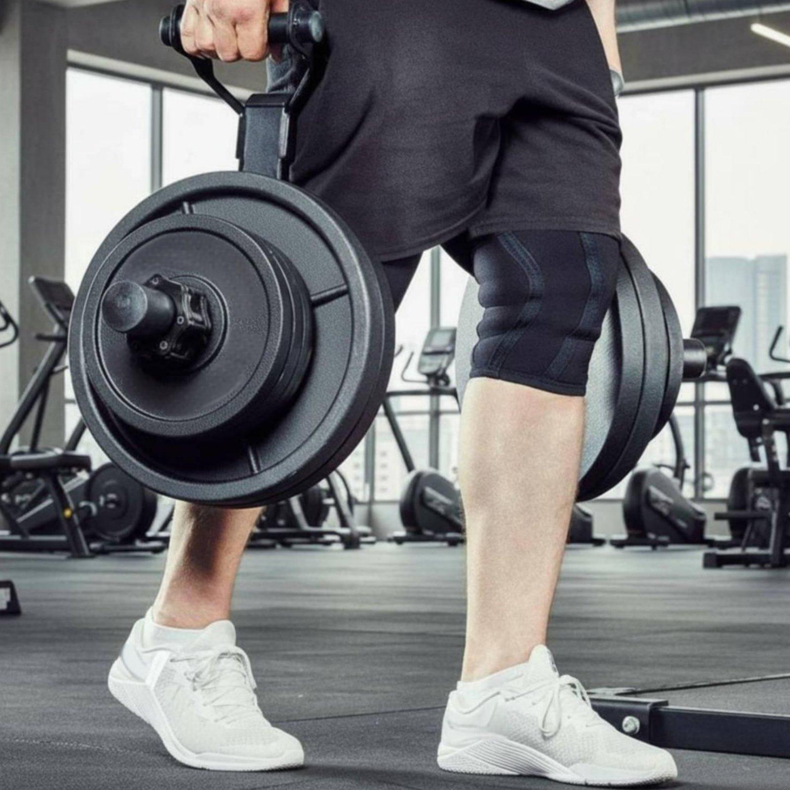 Multi-size Barbell Plate Holde - Home Gym Fitness recension och pris